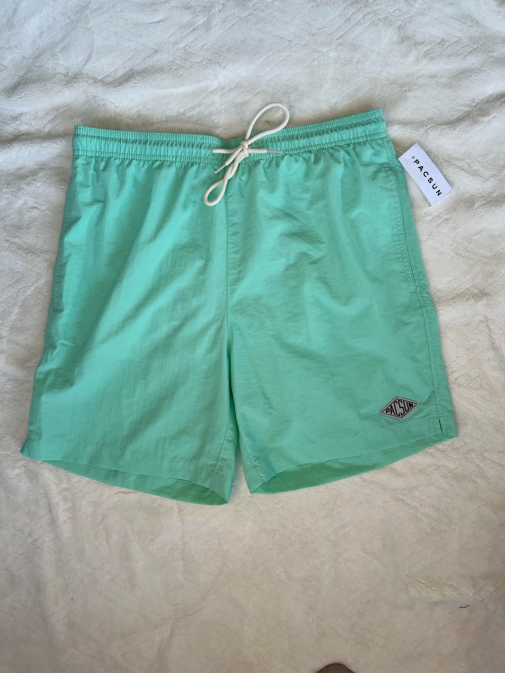 PacSun Men's Mint Green Swim Trunks